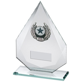 Jade/Silver Diamond Glass Award