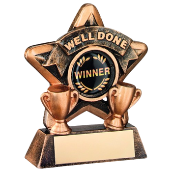 Mini Star Well Done Award