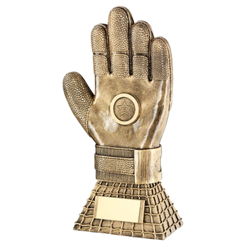 Goalkeeper Glove Award