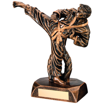 Male Karate Figure