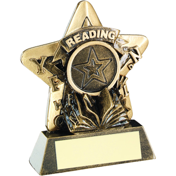 Reading Mini Star Award