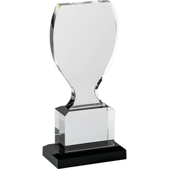 Crystal Award