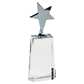 Metal Star on Crystal Award