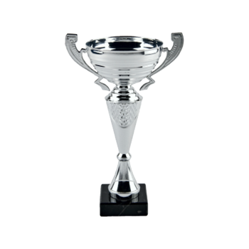 Silver Metal Cup Trophy