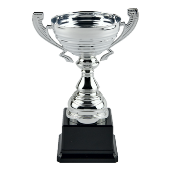 Silver Metal Trophy Cup