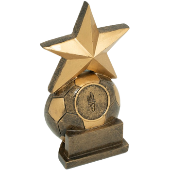Soccer Star Award