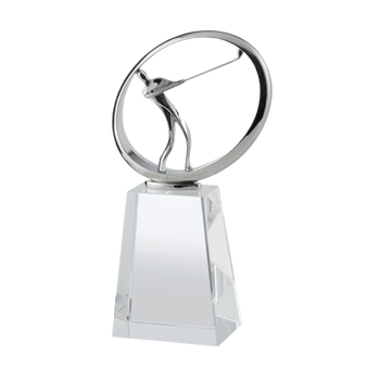 Swatkins Silver Metal/Glass Award