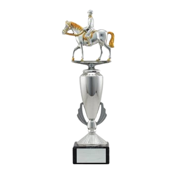 Gold and Silver Equestrian Award