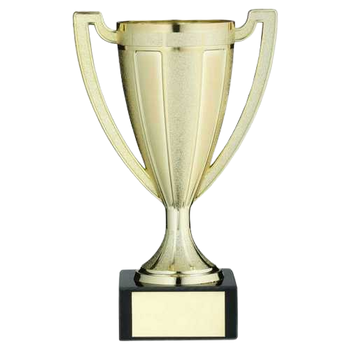 Gold Plastic Stippled Cup
