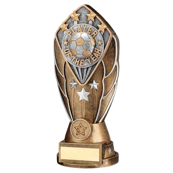 Bronze/Silver Diamond Column Player of the Year