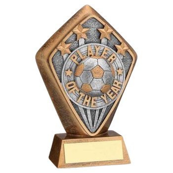Player of the Year Award