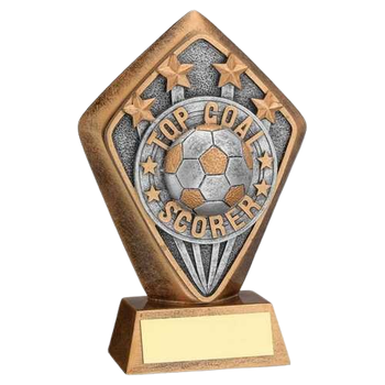 Top Goal Scorer Award