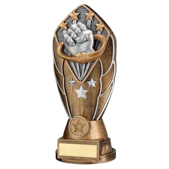 Diamond Column Martial Arts Award