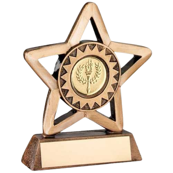 Star Achievement Award