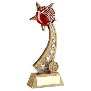 Cricket Ball on Star Trail