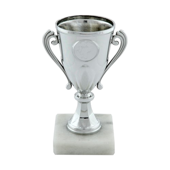 Silver Plastic Cup Trophy