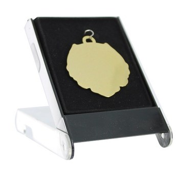 Plastic Medal Box