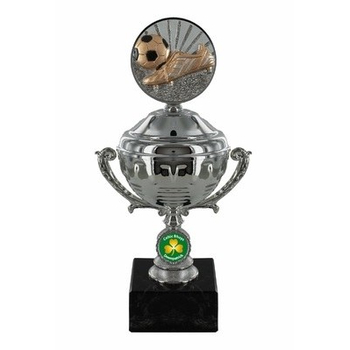 Disc Trophy