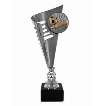 Torch Disc Trophy