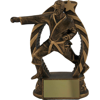 Bronze Martial Arts Trophy