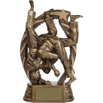 Bronze Martial Arts Trophy