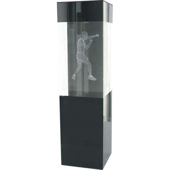 3D Crystal Boxing Trophy