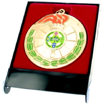 Plastic Medal Box