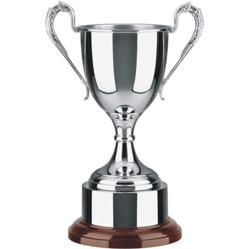 Swatkins Trophy Cup