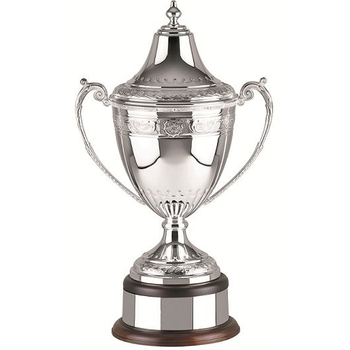 Swatkins Ultimate Celtic Cup