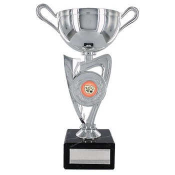Silver Finish Plastic Trophy Cup