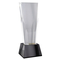 Tall Crystal Award